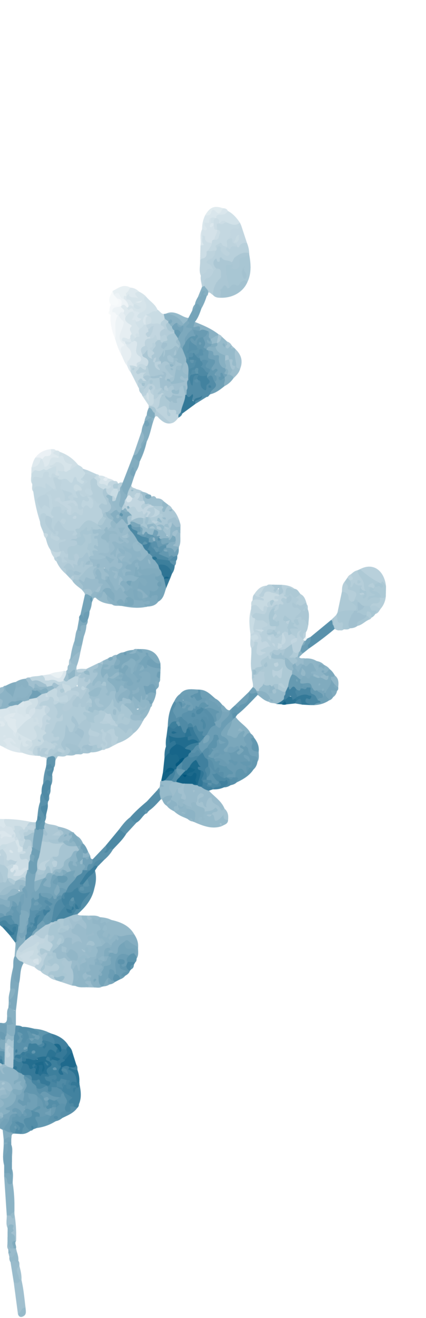 CerchioBenessere_festival