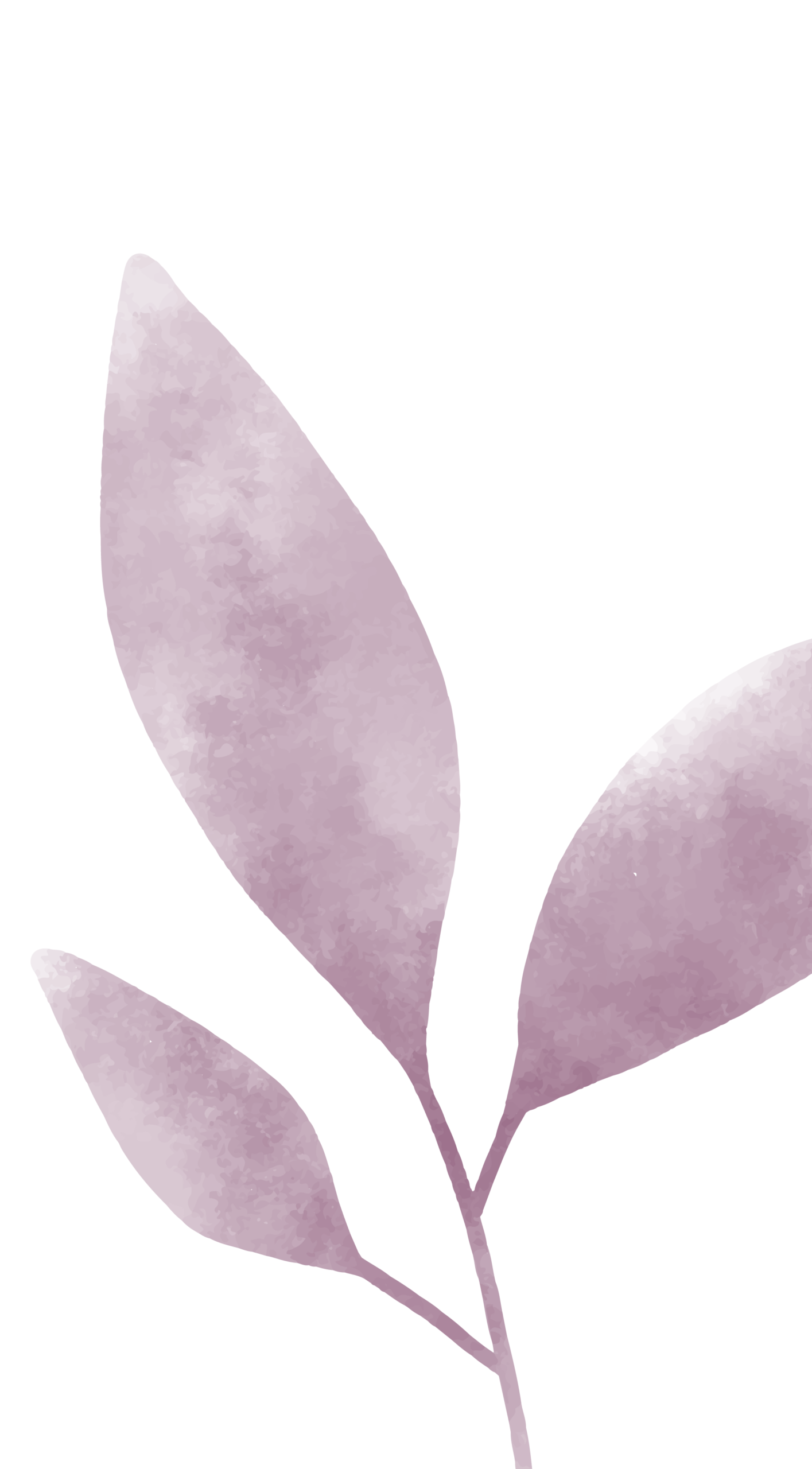 CerchioBenessere_foglia_rosa